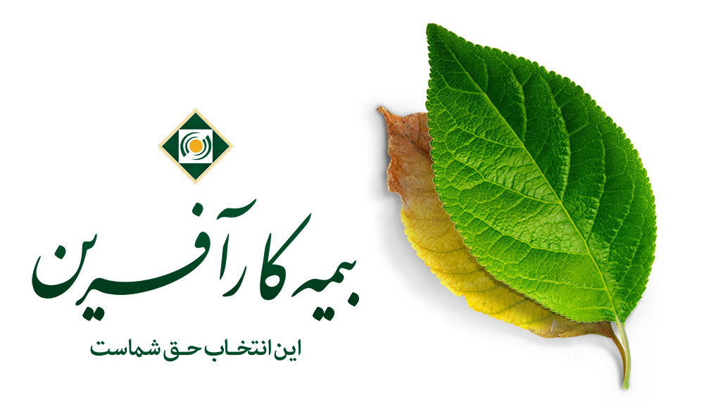 بیمه دندانپزشکی کارآفرین